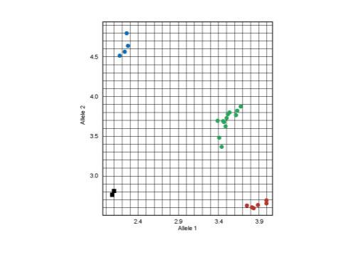 实时荧光定量 PCR