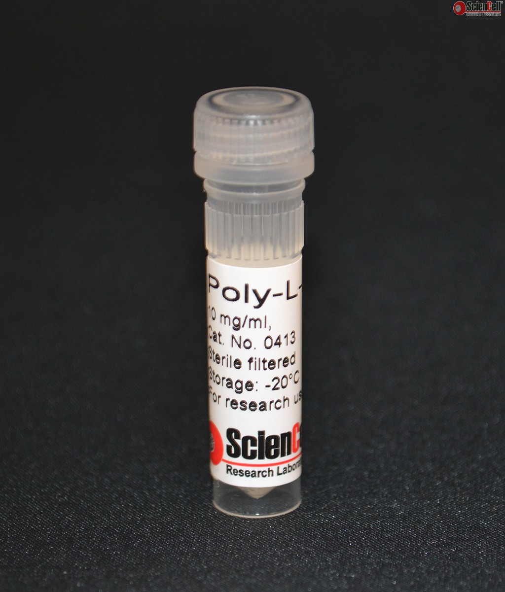 Poly-L-Lysine