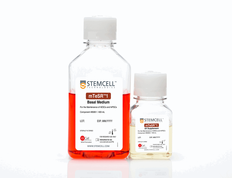 mTeSR 1 cGMP, feeder-free maintenance medium for human ES and iPS Cells