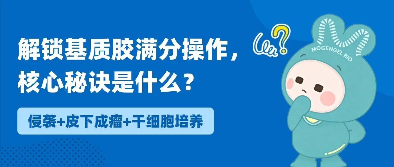 基质胶使用常见问题与操作指南③｜一文搞定侵袭、成瘤、干细胞培养关键操作！