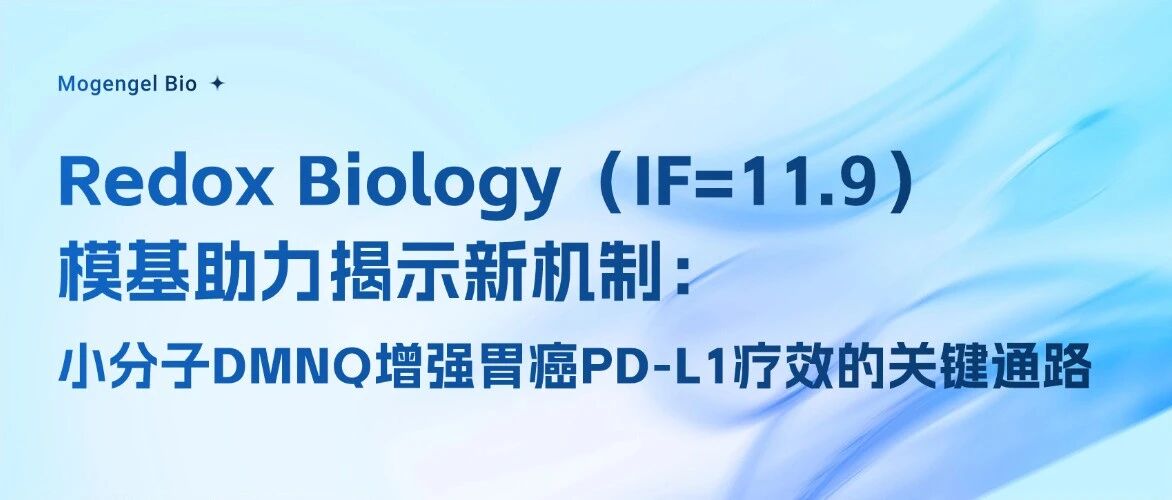 Redox Biology（IF=11.9）|模基助力揭示新机制：小分子DMNQ增强胃癌PD-L1疗效的关键通路