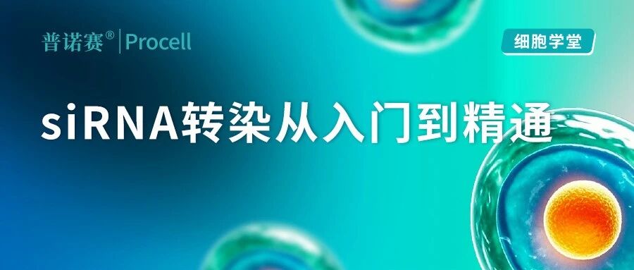 siRNA转染一篇全通：基因沉默从“进得去”到“敲得准”