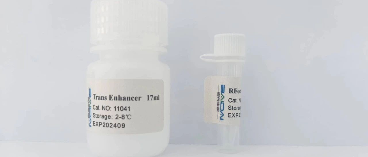 RFect V2 -- 媲美RNAiMAX的siRNA转染试剂 百代生物