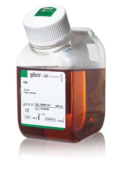 澳洲胎牛血清  gibco