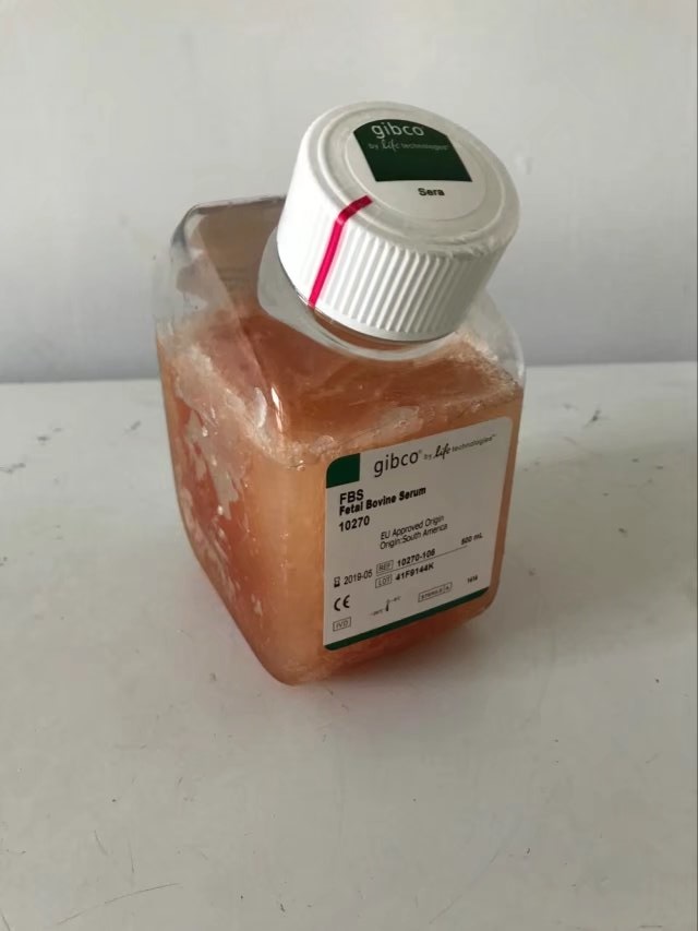 Gibco南美胎牛血清 10270106