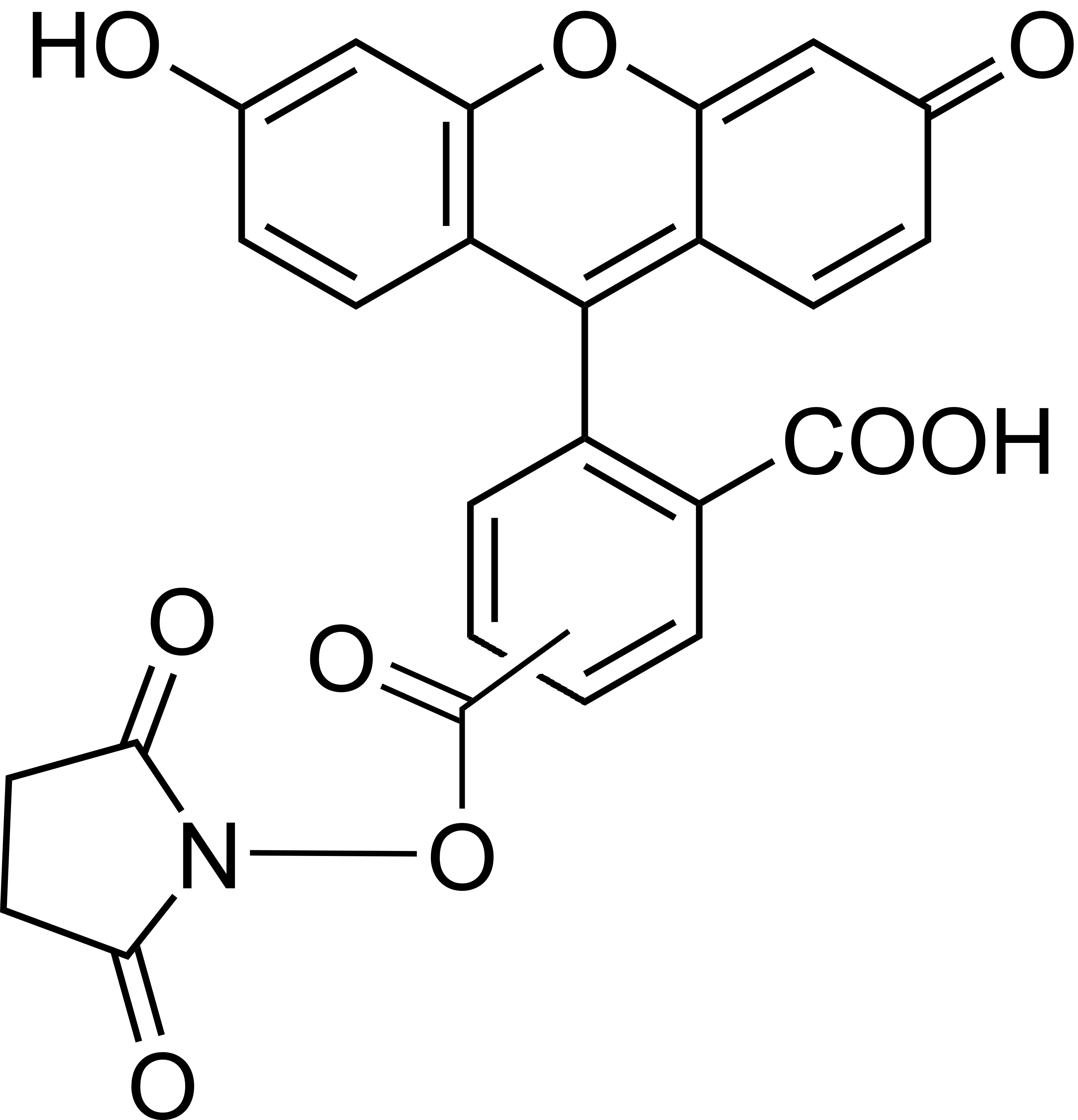 5(6)-FAM, SE [5-(and-6)-Carboxyfluorescein, succinimidyl ester]