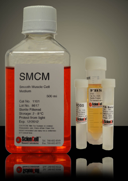 Smooth Muscle Cell Medium (SMCM)