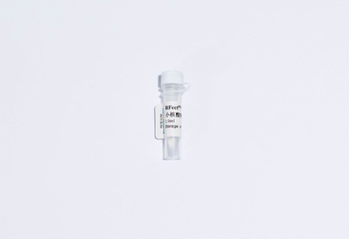 RFectPM原代细胞小核酸转染试剂