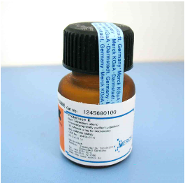 蛋白酶K (Merck原装)