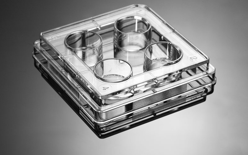 TCP010024 24孔细胞培养板 标准型，表面处理，灭菌