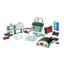 小型垂直电泳转印系统（电泳槽+转印芯+基础电源）