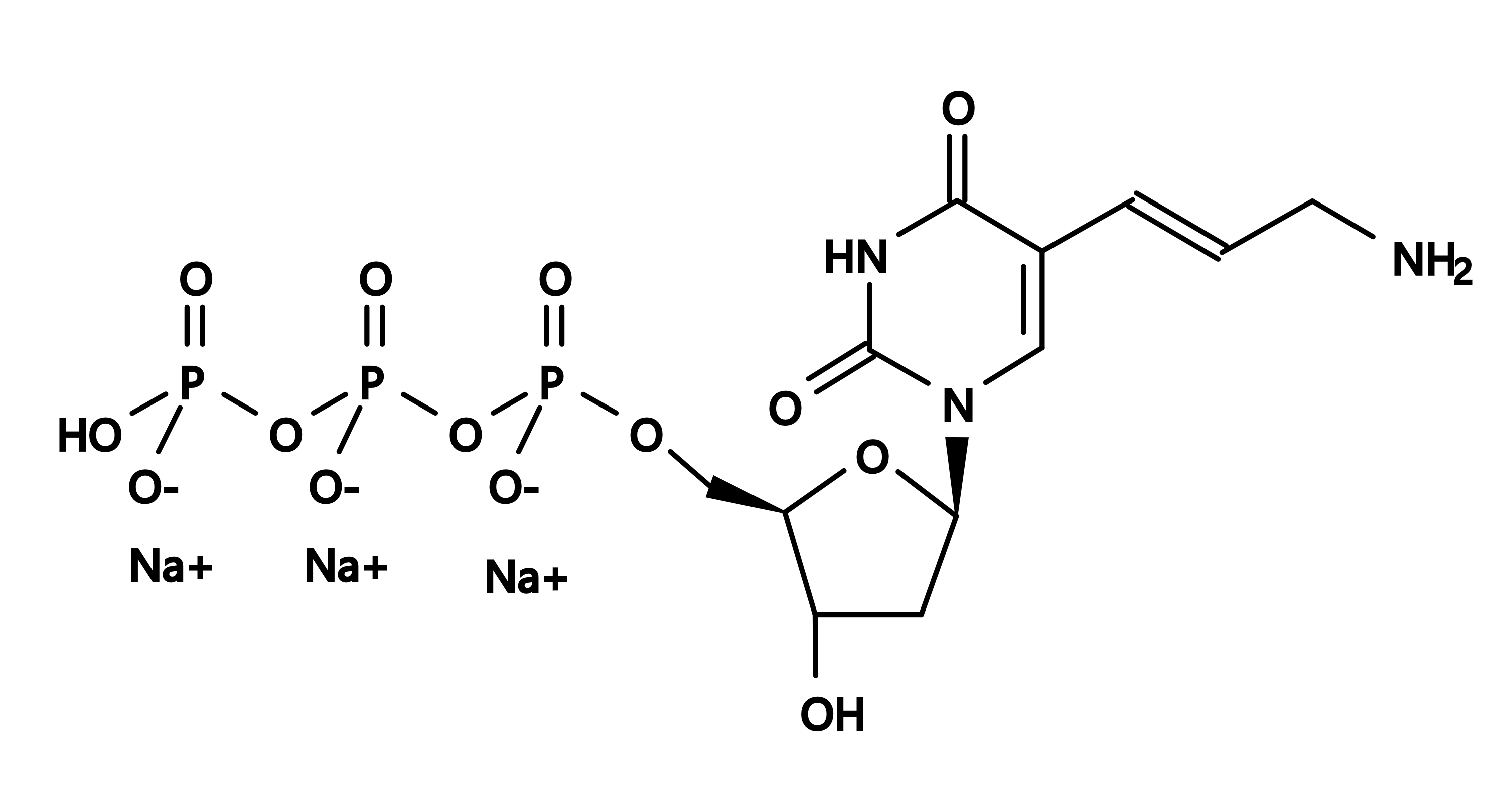 AA-dUTP [Aminoallyl dUTP sodium salt] *4 mM in Tris Buffer (pH 7.5)* *CAS 936327-10-5*