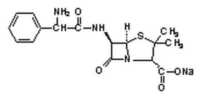 氨苄西林钠盐-CAS 69-52-3-Calbiochem171254