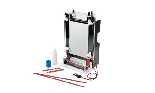 JY-CX1B型 测序电泳槽