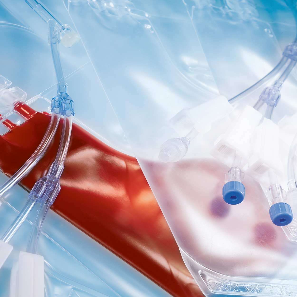 CryoMACS Freezing Bags