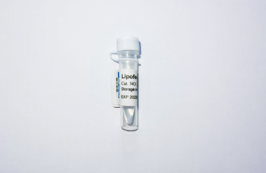 Lipofect5000 质粒转染试剂