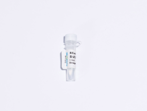 RFectPM原代细胞质粒DNA转染试剂盒