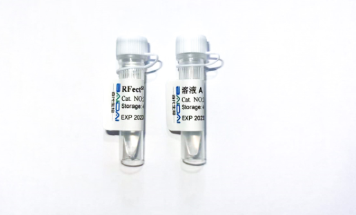 RFectSP悬浮细胞质粒DNA转染试剂盒