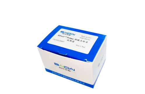 RFectCO Prime核酸共转染试剂盒