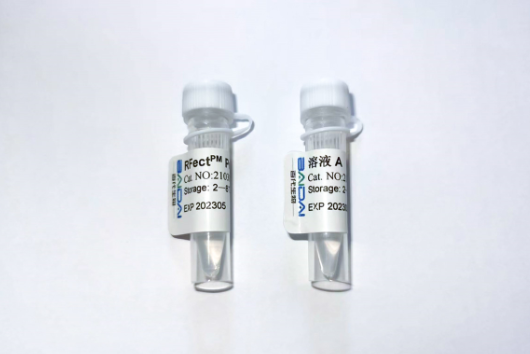 RFectPM Prime原代细胞核酸转染试剂盒
