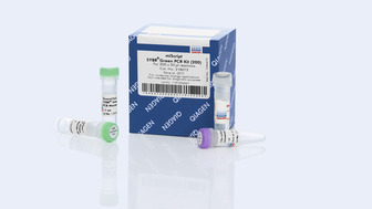 miScript SYBR Green PCR Kit
