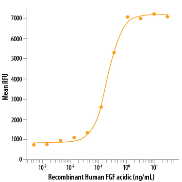 Recombinant Human FGF acidic (aa 2-155) Protein