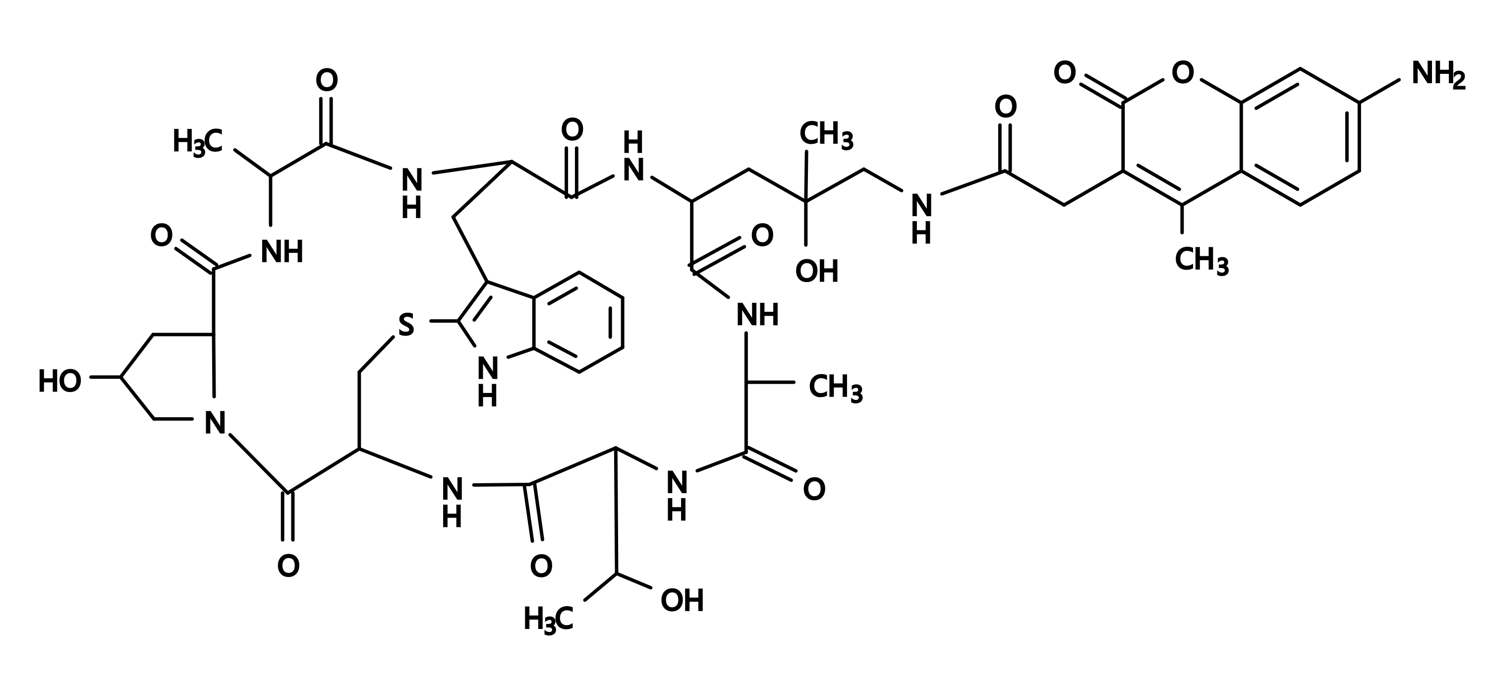 Phalloidin-AMCA Conjugate