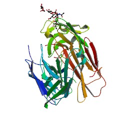 人骨桥素(OPN)ELISA Kit