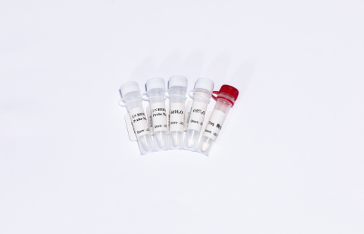 BIOGHSC探针法荧光定量PCR试剂盒