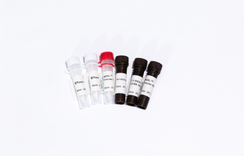 BIOGHC一步法荧光定量PCR试剂盒（染料）