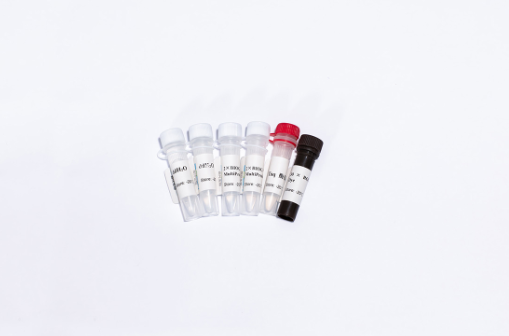 BIOGHSC超级多重荧光定量PCR试剂盒（探针）