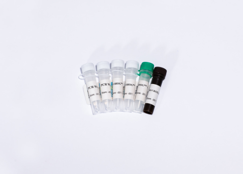 BIOGHSC UDG多重探针法荧光定量PCR试剂盒
