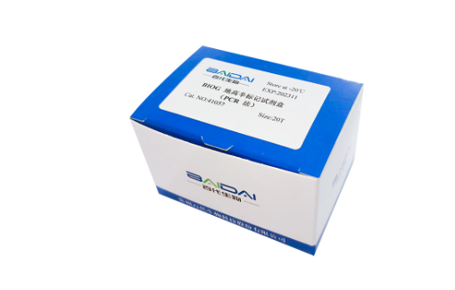 BIOG地高辛标记试剂盒（PCR法）