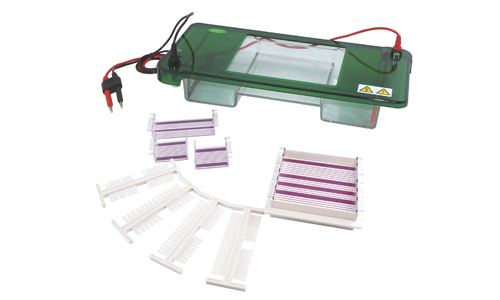 JY-SPDT型 水平电泳槽