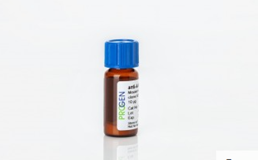 anti-Lamin mouse monoclonal, X67, lyophilized, purified