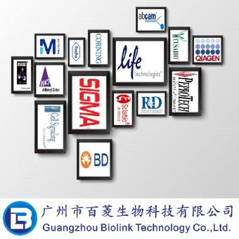 平滑肌细胞培养基2（即用型） Smooth Muscle Cell Growth Medium 2 (Ready-to-use)