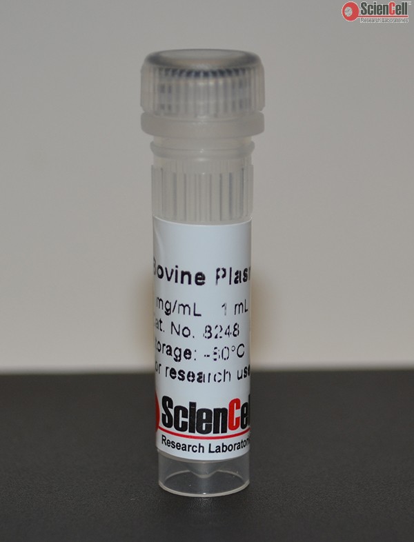Bovine Plasma Fibronectin
