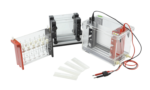 JY-SX3型 双向电泳槽