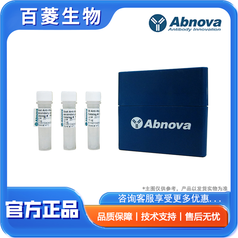 H00000092-B02P  ACVR2A purified MaxPab mouse polyclonal antibody (B02P)