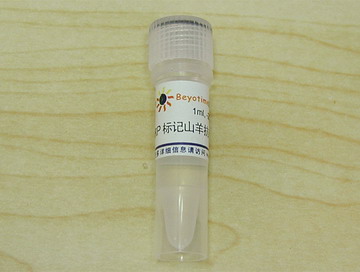 辣根过氧化物酶标记山羊抗兔IgG(H+L)