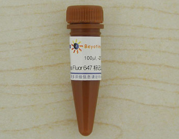Alexa Fluor 647标记山羊抗小鼠IgG(H+L)