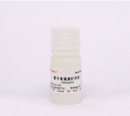 氨苄青霉素储存液(100mg/ml).