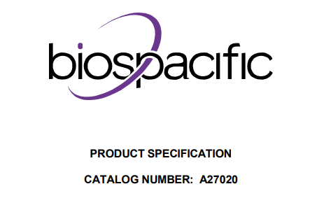 CKMM Monoclonal Antibody A27020
