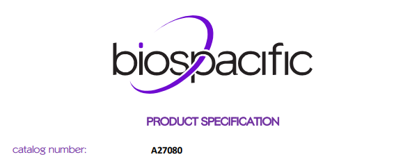 CKMB Monoclonal Antibody, Purified A27080