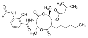 Antimycin A from Streptomyces sp