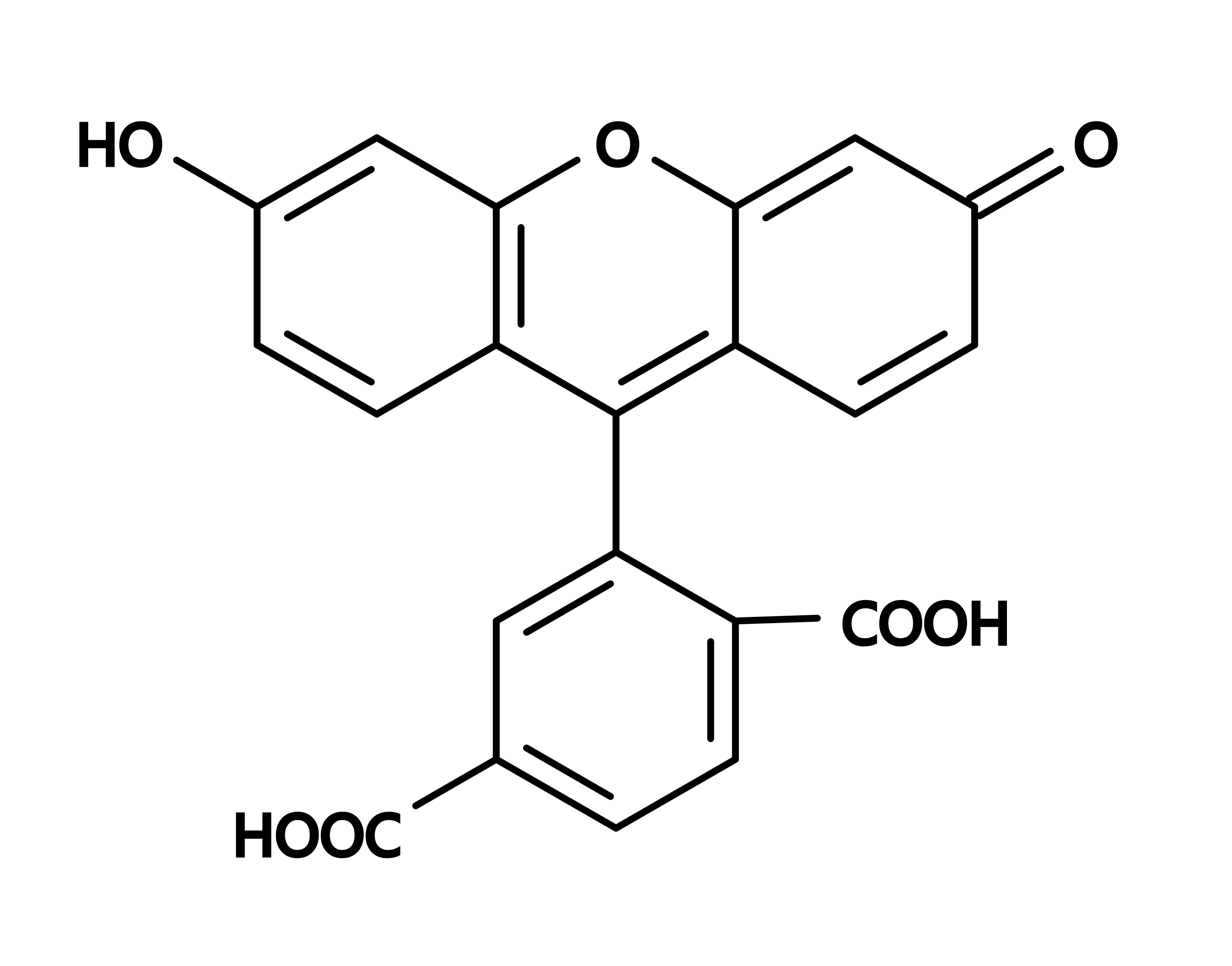 6-FAM [6-Carboxyfluorescein]