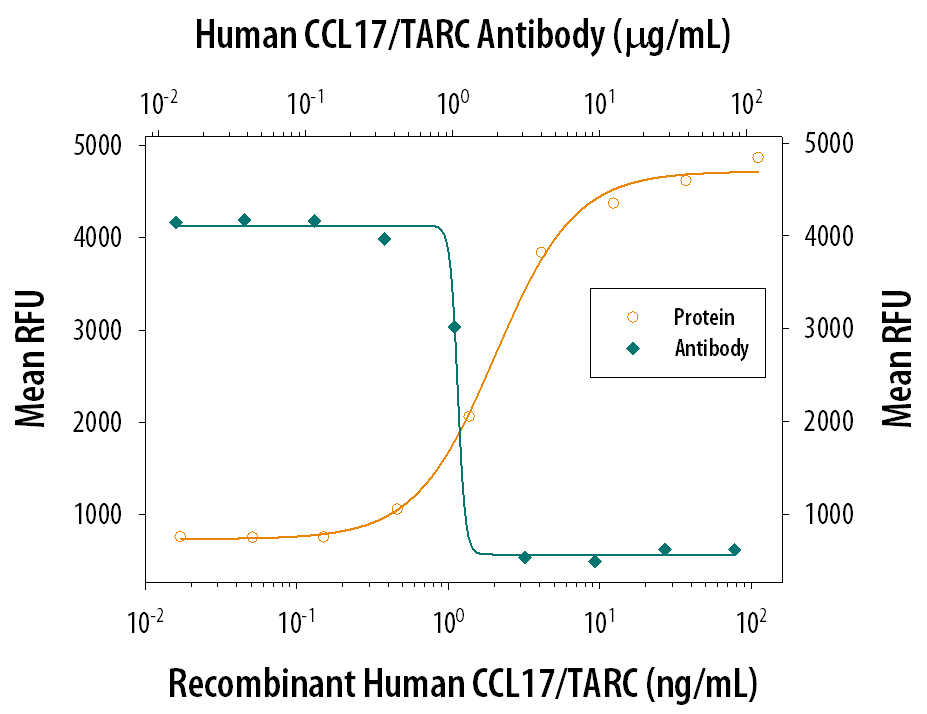 Human CCL17/TARC Antibody
