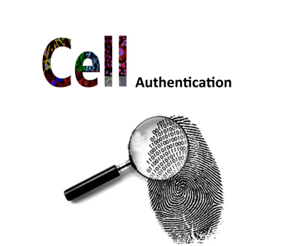 细胞系鉴定（STR）服务