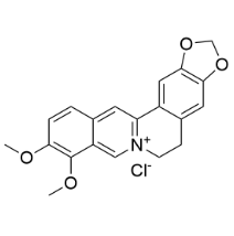 B802465 盐酸小檗碱,98%