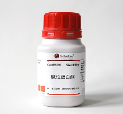 碱性蛋白酶(1:200000)